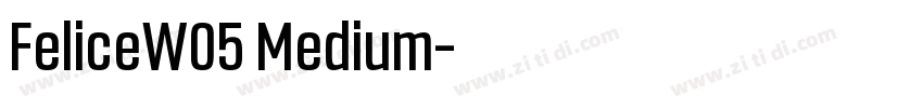 FeliceW05 Medium字体转换